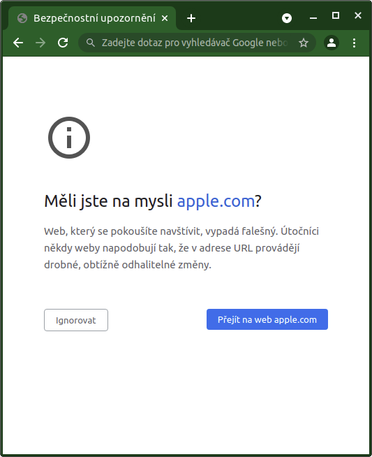 Ochrana proti Homographům v chrome